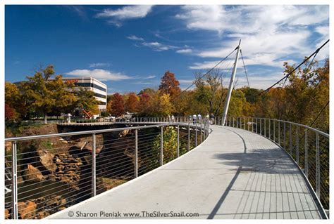 The Silver Snail :: GREENVILLE, SC :: The Ultimate American Road Trip ...