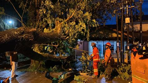 Hujan Deras Dan Angin Kencang Pohon Tumbang Di Kota Pontianak