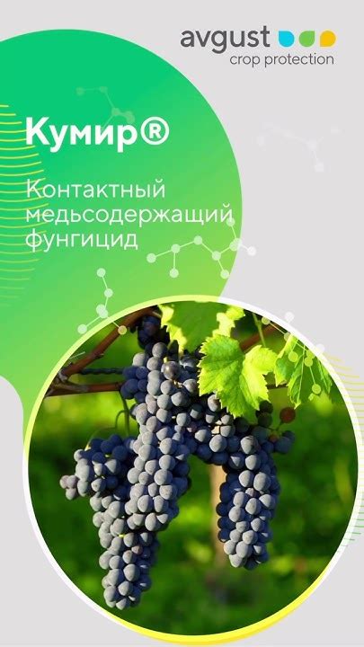 Кумир - медьсодержащий фунгицид для использования в интегрированных ...
