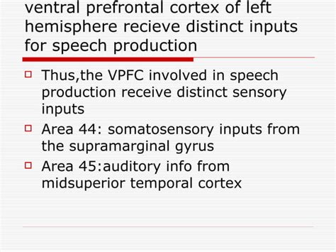 Anatomy And Connections Of Prefrontal Cortex Ppt