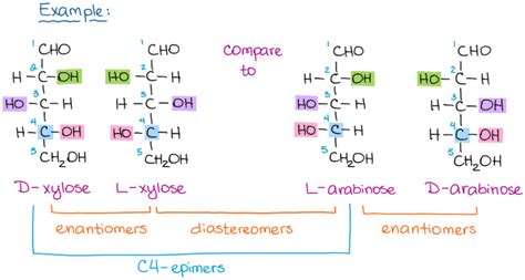 Nomenclature Of Carbohydrates The Fundamentals — Organic Chemistry Tutor Organic Chemistry