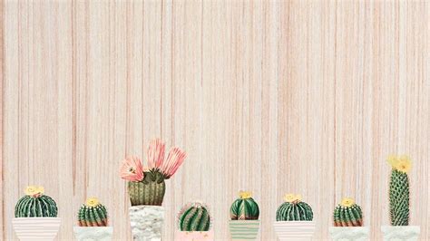 Cactus Desktop Wallpaper Images Free Photos, PNG Stickers,, 44% OFF