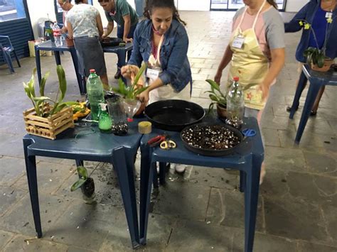 Senar Ms E Sindicato Rural Ministram Curso De Cultivo De Orqu Deas