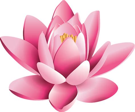 Lotus Png Free Image Png All