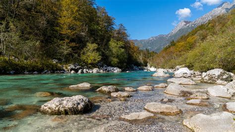 La Bonne Nouvelle Du Jour La Loi De Restauration De La Nature Va