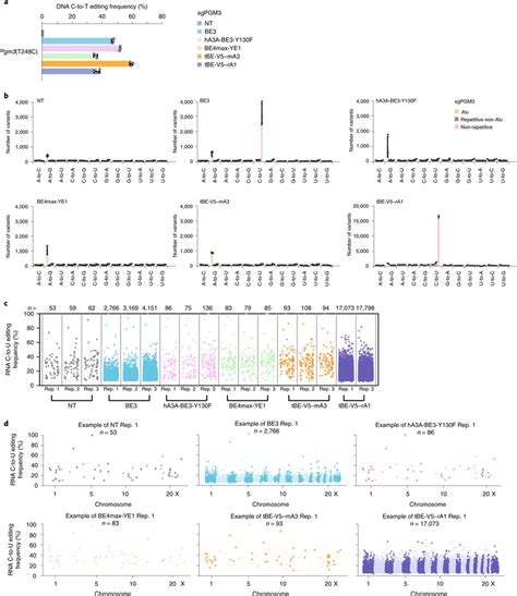 Tbe Eliminates Ot Mutations Transcriptome Wide A Dna Editing Download Scientific Diagram