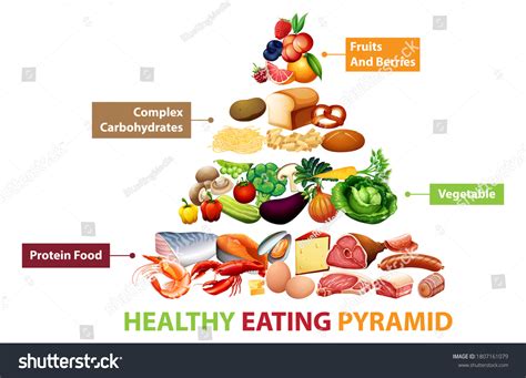 Free Vector Healthy Food Pyramid Chart Images