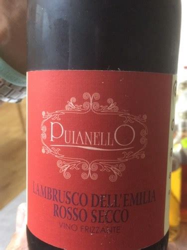 Cantina Puianello Lambrusco dell Emilia Rosso Secco Vivino 日本