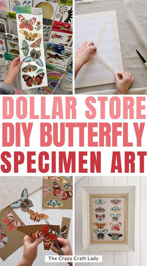 Diy Butterfly Specimen Art Made From Dollar Tree Wall Decal Stickers