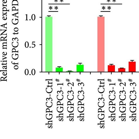 Gpc3 Expression In Lung Squamous Cell Carcinoma Lusc Cell Lines And Download Scientific