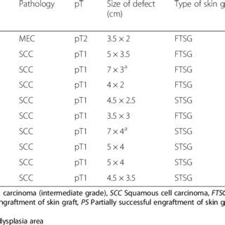 (PDF) Modified bolster dressing with continuous suction improves skin ...