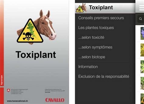 Les Plantes Toxiques Pour Les Chevaux Le Guide Complet Contre Galop