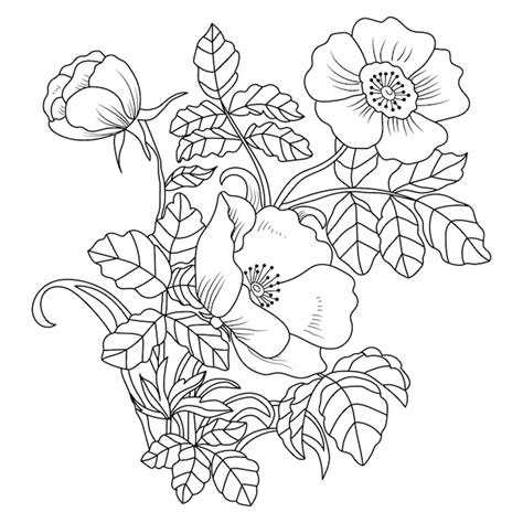 Premium Vector Flower Coloring Page Book For Adults