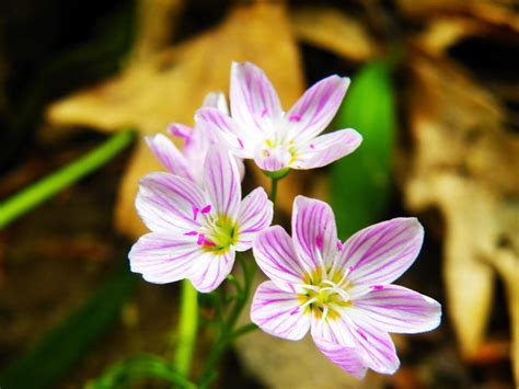 point   jeremytheasian  deviantart