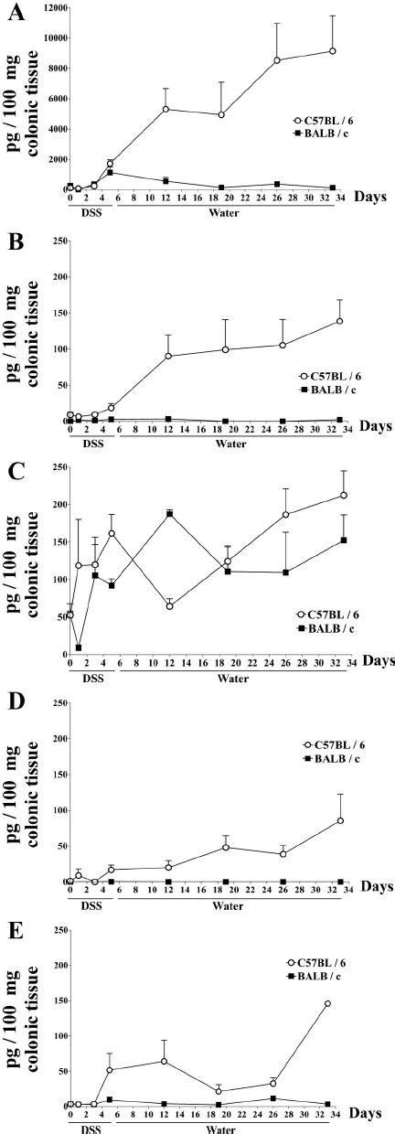 Cytokine Production In Acute Chronic And Recovery Phases In C57bl 6 Download Scientific