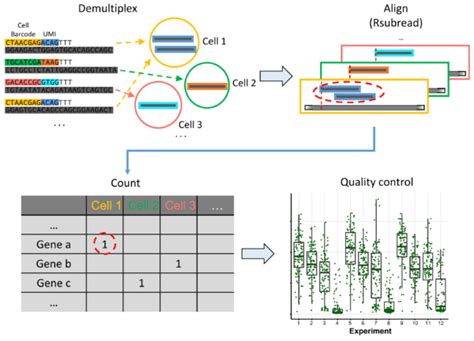 Scruff An R Bioconductor Package For Preprocessing Single Cell Rna