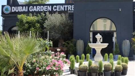 Dubai Garden Centre(Plants & Gardening Stores) in Jumeirah 1, Dubai ...