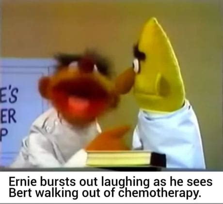 Best Funny bert Memes - 9GAG