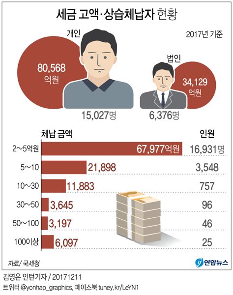 그래픽 세금 고액·상습체납자 현황 연합뉴스