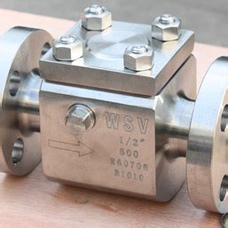 Zirkonium Controleer Kleppen Manufacturer Company Wsv Valve