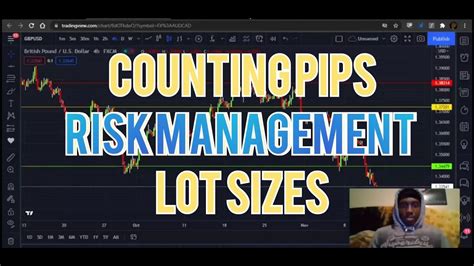 Forex Trading Training How To Count Pips How To Use Risk Management