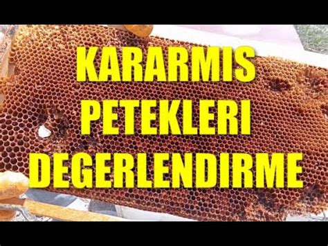 Kararm Peteklerin Geli Mekte Olan Ar Lara T Kettirilmesi Nas L