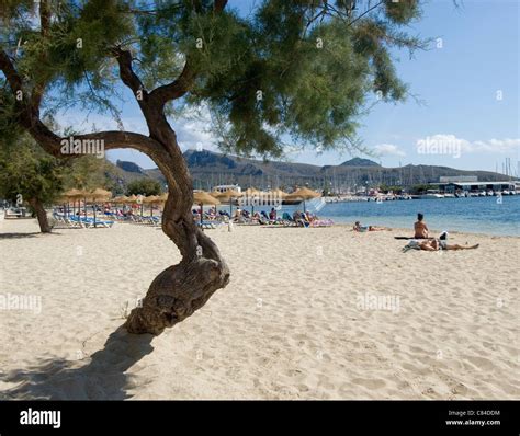 Mallorca, Port de Pollenca, beach Stock Photo - Alamy