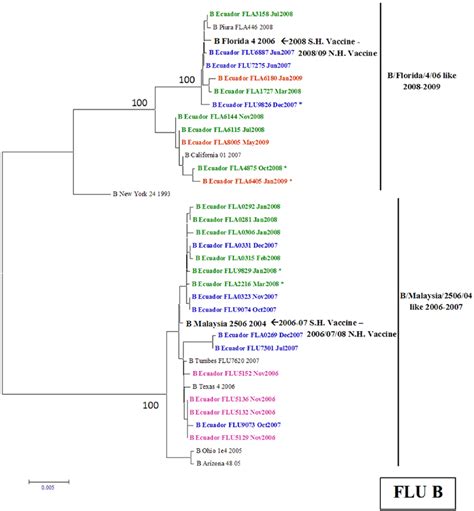 Phylogenetic Tree Based On The Partial Hemagglutinin Ha Sequence Of Download Scientific