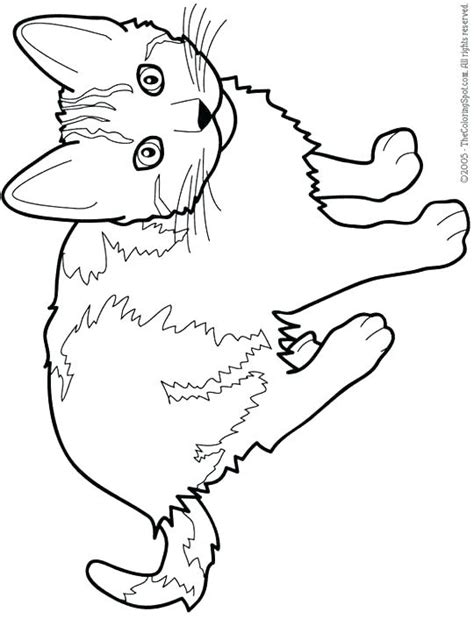 Splat The Cat Coloring Pages at GetColorings.com | Free printable ...