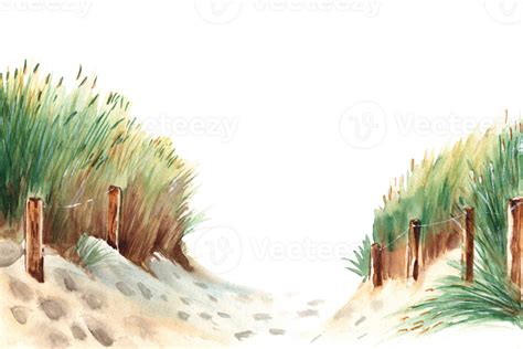 Baltic Sea Beach With Sand Dunes Grass And Wooden Stakes Hand Drawn Watercolor Illustration