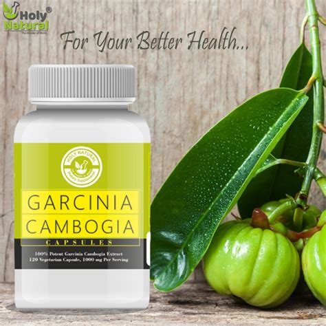 Garcinia Cambogia Extract Veggie Capsule Holy Natural