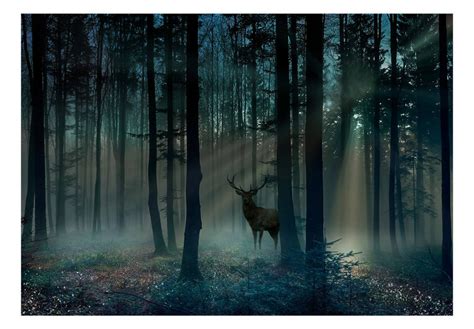 Download Mystical Forest Deer Wallpaper