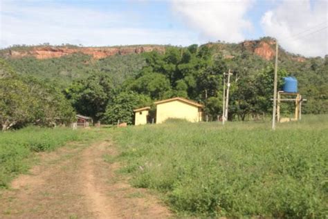 FAZENDA DUPLA APTIDÃO À VENDA EM DOM AQUINO MT Fazendas Mato Grosso