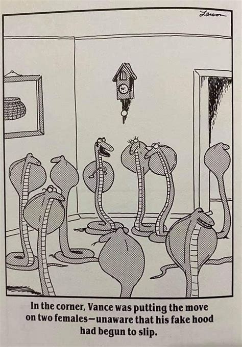 Pin By Cjloera713 On Classic Far Side Funny Cartoon Pictures Fun Comics Funny Cartoon