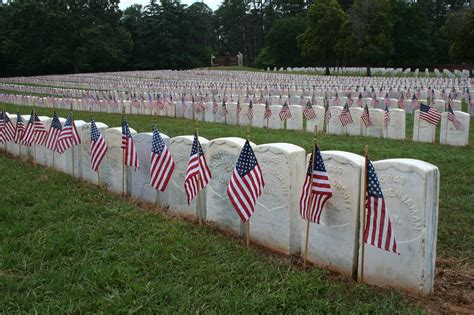 Veterans Day Cemetery Flags