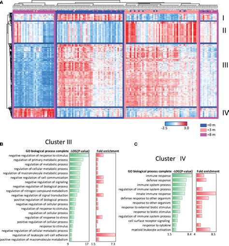 Frontiers Integrative Transcriptomics Reveals Activation Of Innate