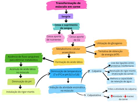 Transforma O Do Musculo Em Carne