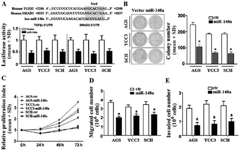 Mir 148a Expression Modulates Multiple Pro Oncogenic Traits In Gc Download Scientific Diagram