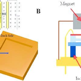 A Schematic Diagram Of The Front Side And The Back Side Of The