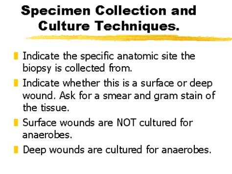 Specimen Collection and Culture Techniques.