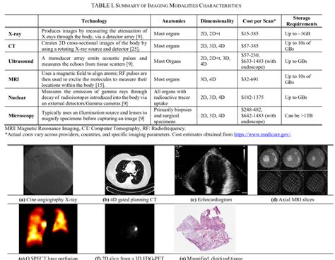 Typical Medical Imaging Examples A Cine Angiography X Ray Image Download Scientific Diagram