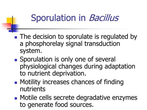 Ppt Bacterial Physiology Micr430 Powerpoint Presentation Free