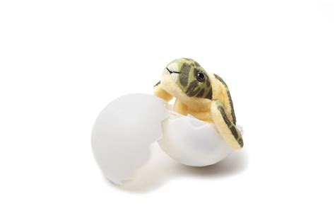 Sea Turtle Hatchling Eggs Plush Toy Minis Safari Ltd®