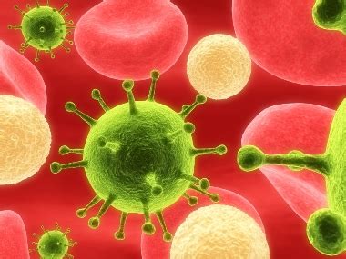 Nhs Wales Health A Z Typhoid Fever