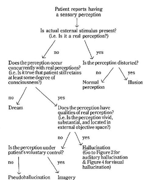 Differential Diagnosis And Management Of Hallucinations Semantic Scholar