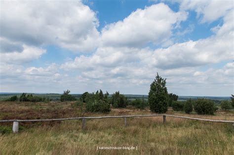 Wilseder Berg Naturpark Lueneburger Heide Kalte Schnauze Hundeblog