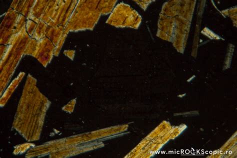 Anthophyllite Thin Section Double Chain Inosilicates Microckscopic