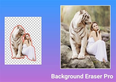 Get The Best Background Eraser 2020 Software For Background Removal And