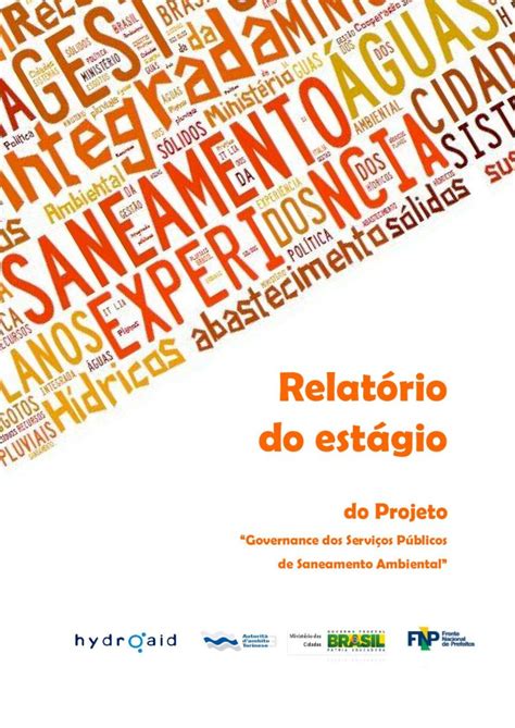 PDF Relatório do estágio rio última revis PDF filenas