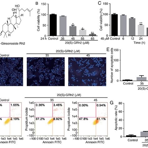 S Grh Inhibits Cell Viability And Induces Apoptosis In Hela Cells